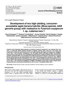 Development of two high-yielding, consumer-acceptable apple banana hybrids (Musa species, AAB genome group) with resistance to Fusarium oxysporum f. sp. cubense race 1