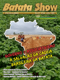 Batatas Nativas: do Cultivo Esquecido ao  Boom Culinário e Inovação de Mercado