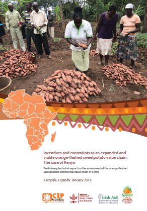Incentives and constraints to an expanded and viable orange‐fleshed sweetpotato value chain: The case of Kenya.