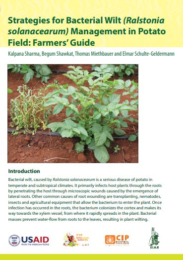 Strategies for bacterial wilt (Ralstonia solanacearum) management in potato field: Farmers’ guide