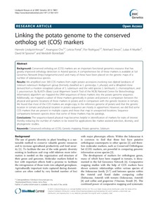 Linking the potato genome to the conserved ortholog set (COS) markers.