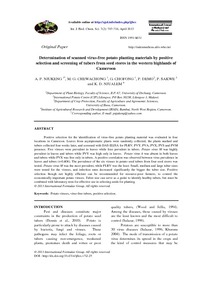 Determination of scanned virus-free potato planting materials by positive selection and screening of tubers from seed stores in the western highlands of Cameroon.