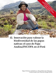 Innovacion para valorar la biodiversidad de las papas nativas: El caso de Papa Andina/INCOPA en el Peru.