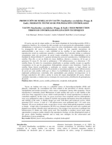 Produccion de semillas en yacon (Smallanthus sonchifolius (Poepp. & Endl.)) mediante tecnicas de polinizacion controladas.