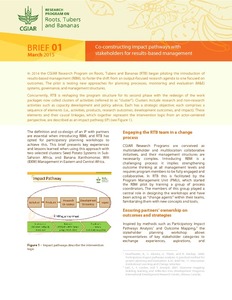 Co-constructing impact pathways with stakeholders for results-based management