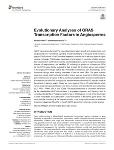 Evolutionary analyses of GRAS transcription factors in angiosperms