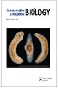 Reproductive biology in cassava: stigma receptivity and pollen tube growth