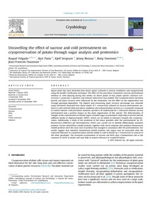 Unravelling the effect of sucrose and cold pretreatment on cryopreservation of potato through sugar analysis and proteomics