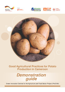 Good agricultural practices for ware potato production in Cameroon: Demonstration guide