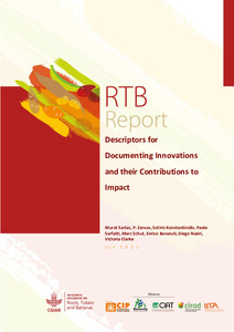 Descriptors for Documenting Innovations and their Contributions to Impact