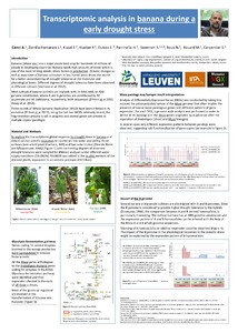 Transcriptomic analysis in banana cultivars during an early stage of drought-stress