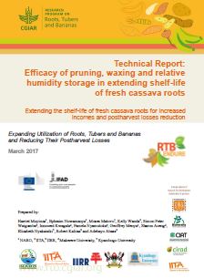 Technical report: efficacy of pruning, waxing and relative humidity storage in extending shelf-life of fresh cassava roots. Extending the shelf-life of fresh cassava roots for increased incomes and postharvest losses reduction.
