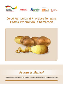 Good agricultural practices for ware potato production in Cameroon: Producer manual