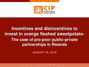 Roundtable Meeting Nairobi, Kenya - Incentives and disincentives to invest in orange fleshed sweetpotato - the case of pro-poor public-private partnerships in Rwanda