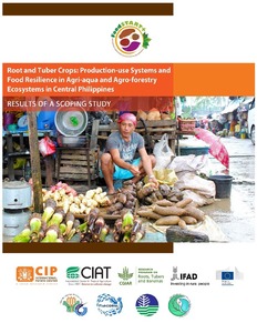 Root and tuber crops: production-use systems and food resilience in agri-aqua and agro-forestry ecosystems in Central Philippines: results of a scoping study