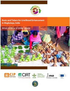 Roots and tubers for livelihood enhancement in Meghalaya, India. Results of a scoping study.