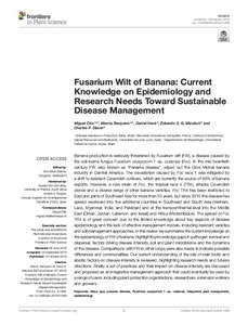 Fusarium wilt of banana: Current knowledge on epidemiology and research needs toward sustainable disease management