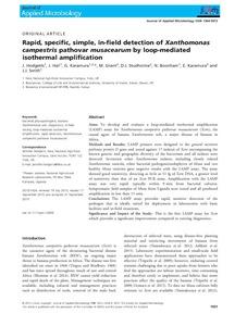 Rapid, specific, simple, in-field detection of Xanthomonas campestris pathovar musacearum by loop-mediated isothermal amplification