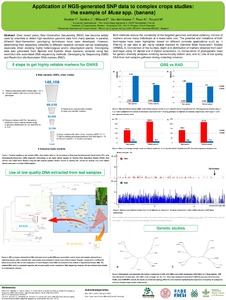 Application of NGS-generated SNP data to complex crops studies: the example of Musa spp. (banana).