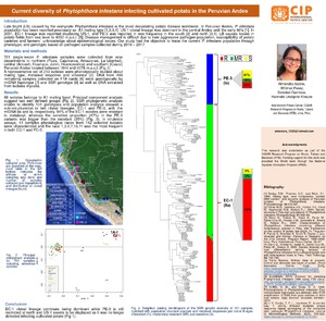 Current diversity of Phytophthora infestans infecting cultivated potato in the Peruvian Andes