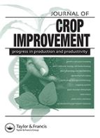 Comparative analysis for producing sweetpotato pre-basic seed using sandponics and conventional systems.