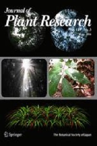 Cassava (Manihot esculenta) transcriptome analysis in response to infection by the fungus Colletotrichum gloeosporioides using an oligonucleotide-DNA microarray