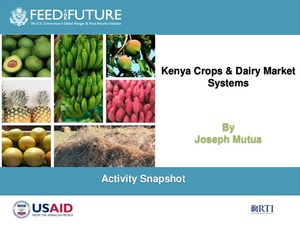 Roundtable meeting Nairobi, Kenya - Kenya crops & dairy market systems