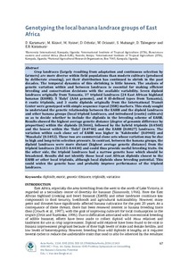 Genotyping the local banana landrace groups of East Africa