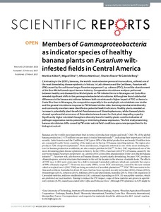 Members of Gammaproteobacteria as indicator species of healthy banana plants on Fusarium wilt-infested fields in Central America