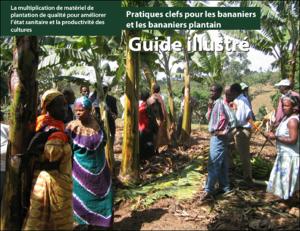 La multiplication de matériel de plantation de qualité pour améliorer l’état sanitaire et la productivité des cultures: Pratiques clefs pour les bananiers et les bananiers plantain: guide illustre