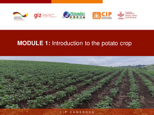 MODULE 1: Introduction to the potato crop​