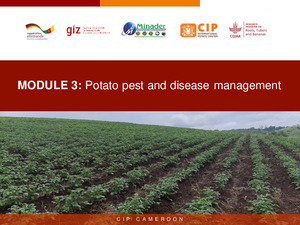 MODULE 3: Potato pest and disease management
