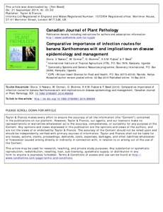 Comparative importance of infection routes for banana Xanthomonas wilt and implications on disease epidemiology and management