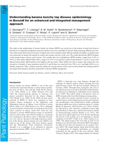 Understanding banana bunchy top disease epidemiology in Burundi for an enhanced and integrated management approach