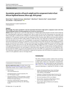 Association genetics of bunch weight and its component traits in East African highland banana (Musa spp. AAA group).