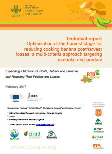 Technical report: Optimization of the harvest stage for reducing cooking banana postharvest losses: a multi-criteria approach targeting matooke end-product.