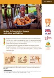 Scaling Up Sweetpotato through Agriculture and Nutrition. Outcome Brief