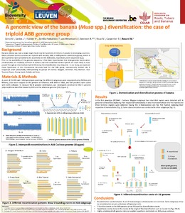 A genomic view of the banana (Musa spp.) diversification: the case of triploid ABB genome group