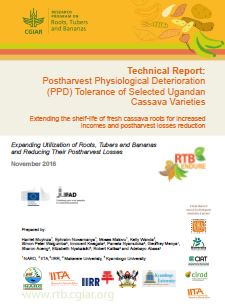 Technical report: Postharvest Physiological Deterioration (PPD) tolerance of selected Ugandan cassava varieties. Extending the shelf-life of fresh cassava roots for increased incomes and postharvest losses reduction