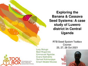 Exploring the Banana & Cassava Seed Systems: A case study of Luwero  district in Central Uganda. RTB Seed System Toolbox Course:  25, 27, 28 Oct 2021