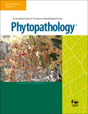 Genotyping of Phytophthora infestans in eastern-Africa reveals a dominating invasive European lineage