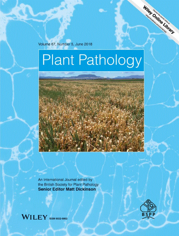 Greater aggressiveness in the 2_A1 lineage of Phytophthora infestans may partially explain its rapid displacement of the US‐1 lineage in east Africa