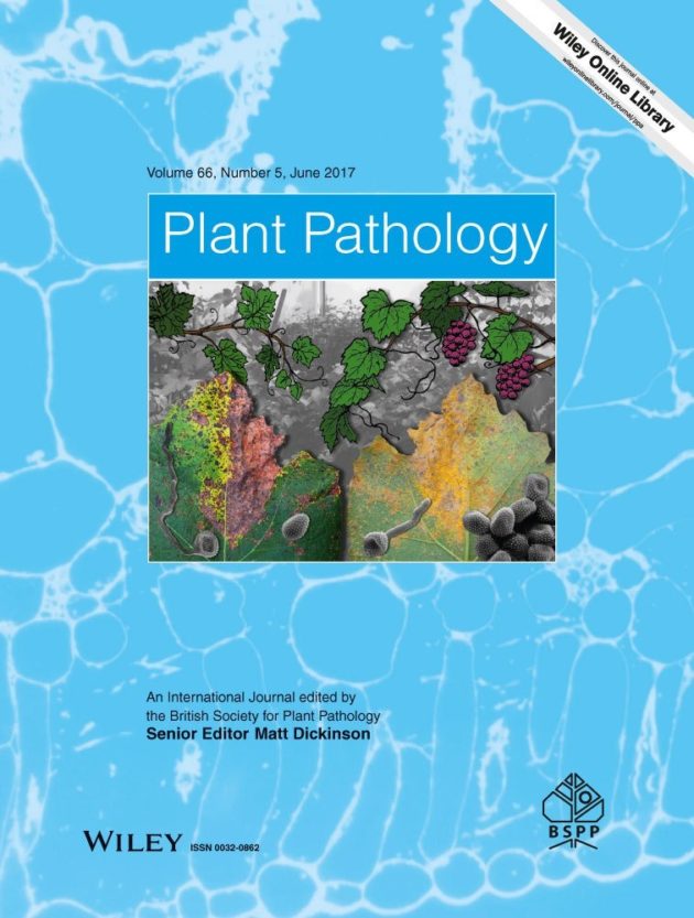 Molecular characterization of Ralstonia solanacearum strains from Ethiopia and tracing potential source of bacterial wilt disease outbreak in seed potatoes