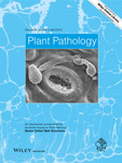 Phytophthora urerae sp. nov., a new clade 1c relative of the Irish famine pathogen Phytophthora infestans from South America
