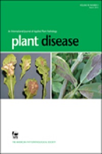 First report of Cassava Common Mosaic Disease and Cassava common mosaic virus infecting cassava (Manihot esculenta Crantz) in Peru