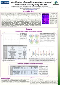 Identification of drought responsive genes and  promoters in Musa by using RNA-seq