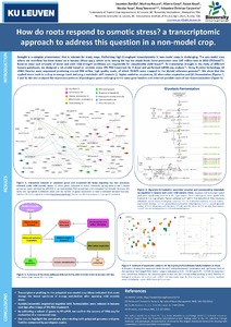 How do roots respond to osmotic stress? A transcriptomic approach to address this question in a non-model crop