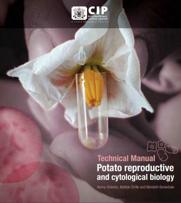 Technical manual potato reproductive and cytological biology.