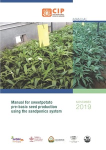 Manual for sweetpotato pre‐basic seed production using the sandponics system.