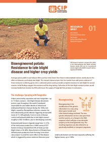 Bioengineered potato: Resistance to late blight disease and higher crop yields. Research Brief 01.